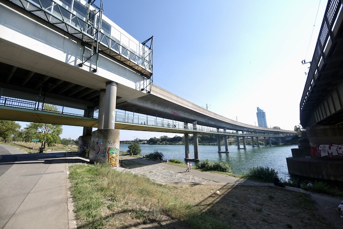 Der 41-Jährige ist vom Georg-Danzer-Steg ins Wasser gesprungen.