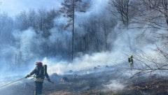 Die Gefahr von Waldbränden ist derzeit extrem hoch.