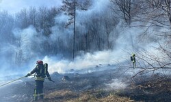 Die Gefahr von Waldbränden ist derzeit extrem hoch.