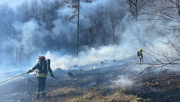 Die Gefahr von Waldbränden ist derzeit extrem hoch.