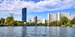 Die Wiener Gewässer vergleichen die Alte Donau mit einem Suppentopf.