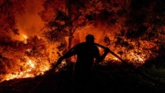 In der Türkei kämpft die Feuerwehr an mehreren Orten gegen das Feuer.
