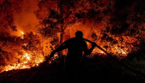 In der Türkei kämpft die Feuerwehr an mehreren Orten gegen das Feuer.
