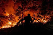 In der Türkei kämpft die Feuerwehr an mehreren Orten gegen das Feuer.