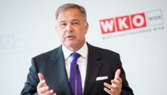 Walter Ruck, langjähriger Präsident der Wiener Wirtschaftskammer, trat Ende Juli nach heftigen ...