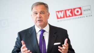 Walter Ruck, langjähriger Präsident der Wiener Wirtschaftskammer, trat Ende Juli nach heftigen ...