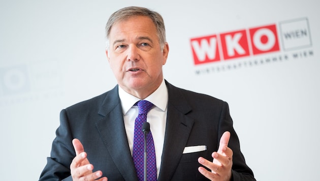 Walter Ruck, langjähriger Präsident der Wiener Wirtschaftskammer, trat Ende Juli nach heftigen ...