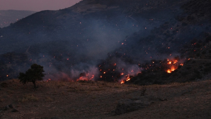 Starker Wind fachte die Flammen in Griechenland an.