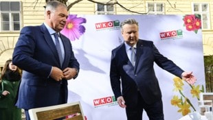 Bürgermeister Michael Ludwig hat sich in den vergangenen Wochen hinter den ...