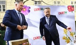 Bürgermeister Michael Ludwig hat sich in den vergangenen Wochen hinter den ...
