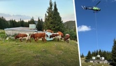 Ein 738-PS-starker Hubschrauber der KitzAir aus Kitzbühel flog neunmal auf den Hochlecken, ...