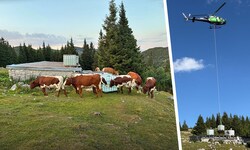 Ein 738-PS-starker Hubschrauber der KitzAir aus Kitzbühel flog neunmal auf den Hochlecken, ...