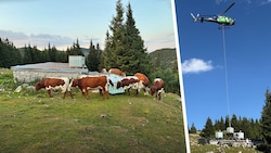 Ein 738-PS-starker Hubschrauber der KitzAir aus Kitzbühel flog neunmal auf den Hochlecken, ...