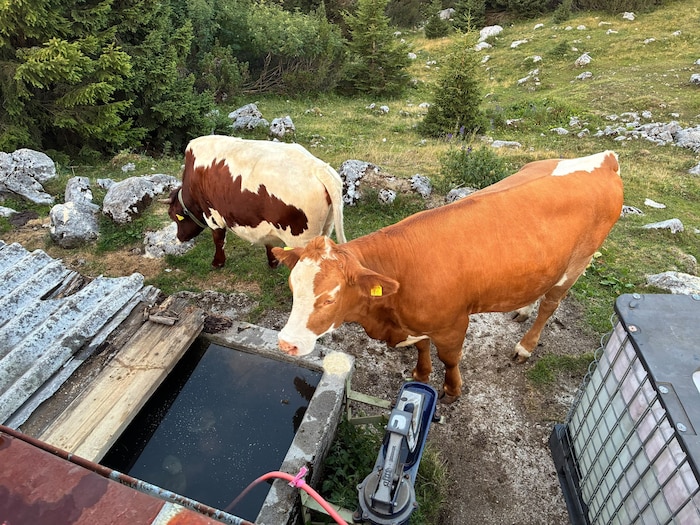Normalerweise reicht der Wasservorrat über den ganzen Sommer.
