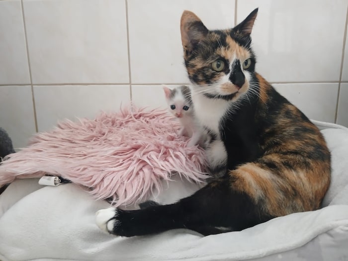 Mama „Chantal“ und Baby „Phönix“ sind jetzt in Sicherheit.