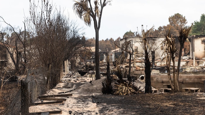 Zerstörung nach dem Waldbrand in Le Porge