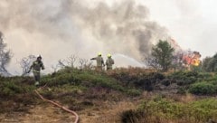 In der englischen Grafschaft Suffolk waren am Donnerstag mehr als 100 Feuerwehrleute im Einsatz. ...