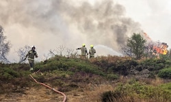 In der englischen Grafschaft Suffolk waren am Donnerstag mehr als 100 Feuerwehrleute im Einsatz. ...