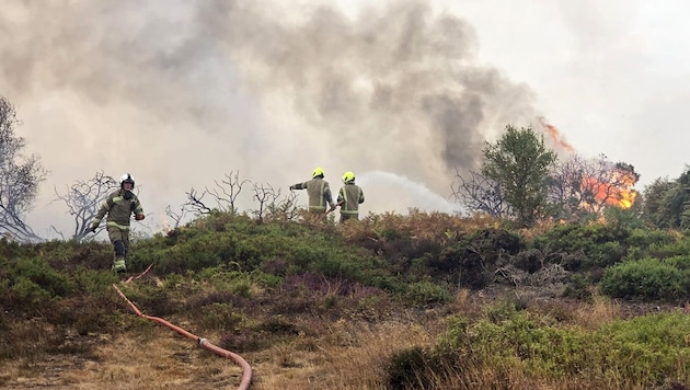 In der englischen Grafschaft Suffolk waren am Donnerstag mehr als 100 Feuerwehrleute im Einsatz. ...