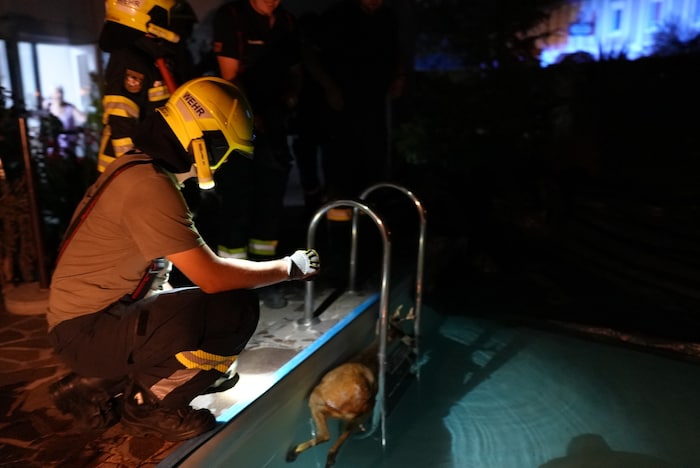 Die Feuerwehrleute bei der Bergung