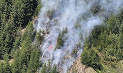 Der Waldbrand forderte 170 Einsatzkräfte.