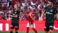 Die erhoffte Sensation gegen Benfica ist ausgeblieben!
