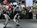 Videos der Unitree-Roboter - wie hier bei einem Boxkampf - sorgen in sozialen Netzwerken immer ...