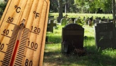 Die Rekord-Temperaturen von 40 Grad forderten bei der Juni-Hitzewelle 395 Opfer - mehr als ...