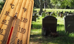 Die Rekord-Temperaturen von 40 Grad forderten bei der Juni-Hitzewelle 395 Opfer - mehr als ...