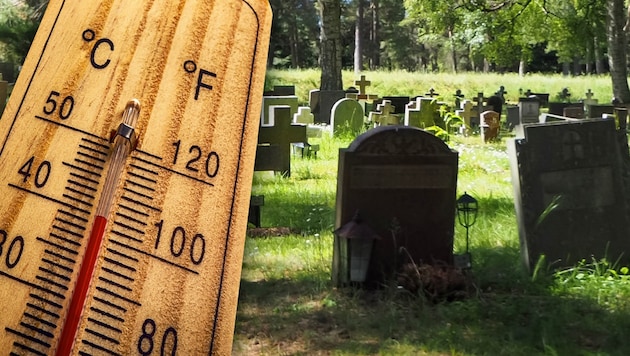 Record temperatures of 40 degrees claimed 395 lives during the June heat wave—more than ever ...