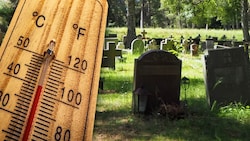 Die Rekord-Temperaturen von 40 Grad forderten bei der Juni-Hitzewelle 395 Opfer - mehr als ...