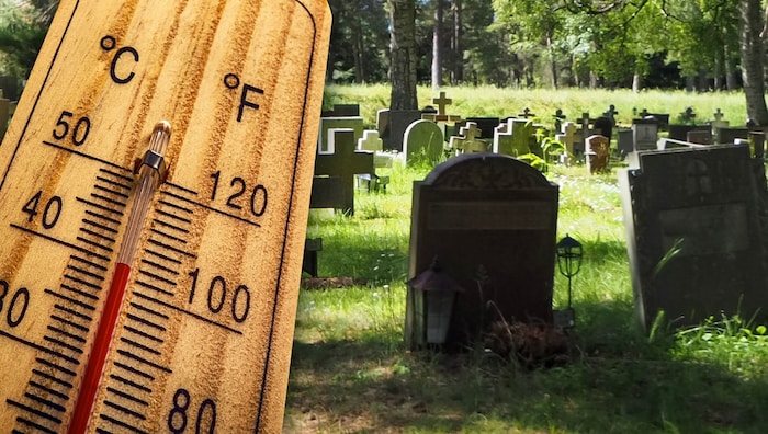 Die Rekord-Temperaturen von 40 Grad forderten bei der Juni-Hitzewelle 395 Opfer - mehr als ...