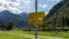 Das stärkste Plus gibt es bei den gewerblichen Ferienwohnungen – man schaut auf‘s Geld.