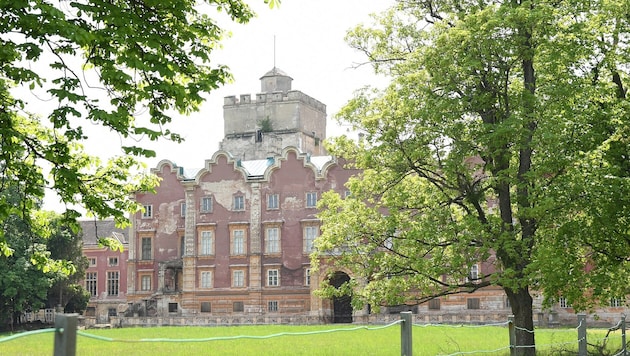 Das wunderschöne Schloss Prugg in Bruck an der Leitha ist seit Jahrhunderten in Besitz der ...