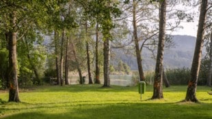 Ein 51-jähriger Wiener ist im Keutschacher See in das nur einen Meter tiefe Wasser gesprungen.