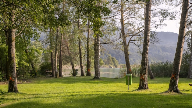 Ein 51-jähriger Wiener ist im Keutschacher See in das nur einen Meter tiefe Wasser gesprungen.