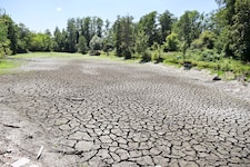 Der Moserteich in Schalchen ist komplett ausgetrocknet, gleicht aktuell eher einer ...