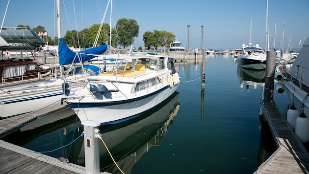 Der Marina-Hafen in Bregenz.