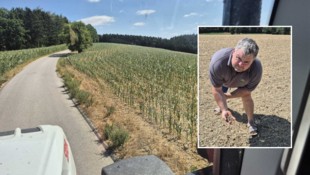 Josef Handl ist Milchbauer im Mostviertel: Die Felder sind heuer komplett trocken.