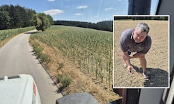 Josef Handl ist Milchbauer im Mostviertel: Die Felder sind heuer komplett trocken.