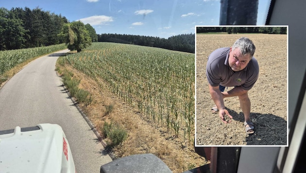Josef Handl ist Milchbauer im Mostviertel: Die Felder sind heuer komplett trocken.