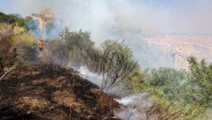 Italiens Feuerwehrleute bekämpfen weiter schwere Waldbrände (Bild). Auch in Griechenland und in ...