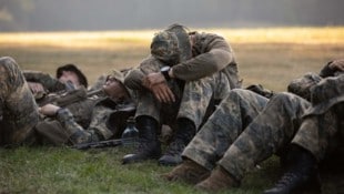 Rene Suchan Das Bundesheer soll wieder auf die Beine kommen.