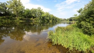 Der Unfall ereignete sich im Mühlwasser in der Lobau – die alarmierte Notärztin konnte nichts ...