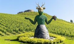 Das Weingut Taggenbrunn füllt jährlich 150.000 Flaschen ab.