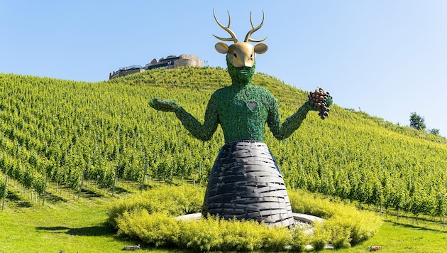 Das Weingut Taggenbrunn füllt jährlich 150.000 Flaschen ab.