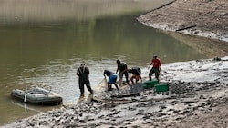 Die Tiere werden abgefischt und sollen umgesiedelt werden.