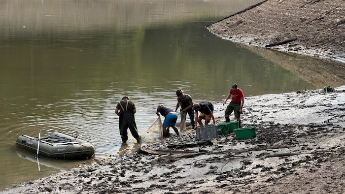 Fischer beim Versuch, möglichst viele Wassertiere zu retten.