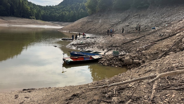 Nach dem letzten Sprengstofffund wurde die Sperre aufgehoben und Tierschützer retteten Fische. ...