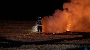 Trockenheit und Hitze sorgten zuletzt für erhöhte Wald- und Flurbrandgefahr und viele Einsätze.